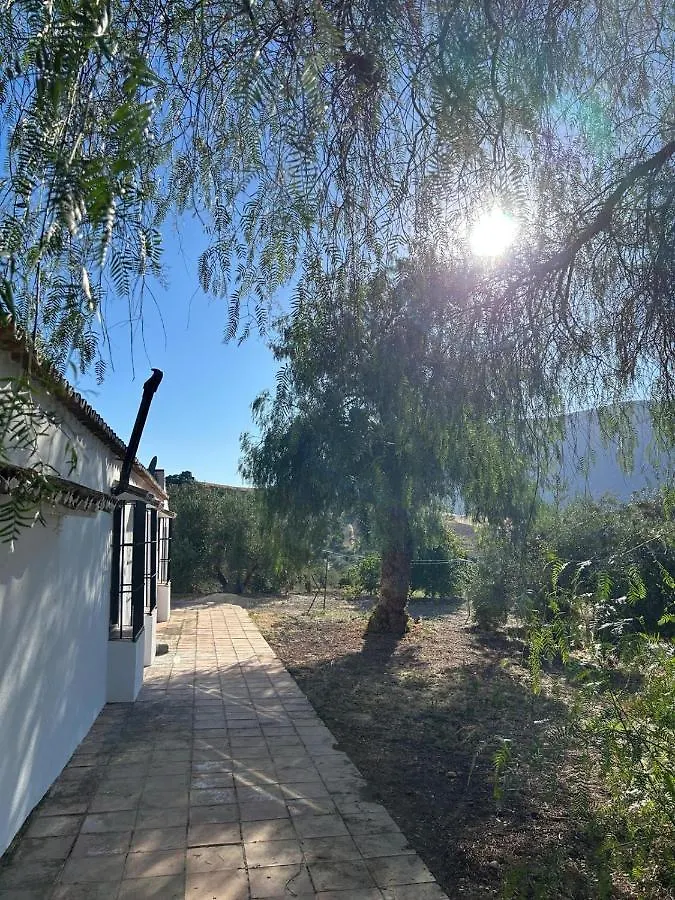 Cortijo Burruelo Villa Algodonales