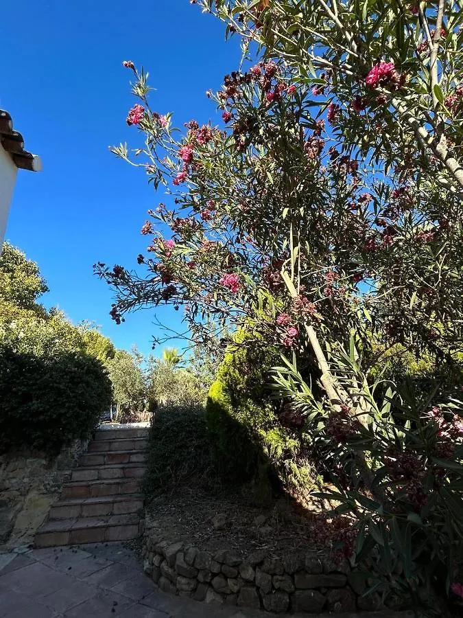 Cortijo Burruelo Villa Algodonales Chalet