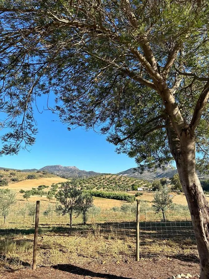 Cortijo Burruelo Villa Algodonales Chalet